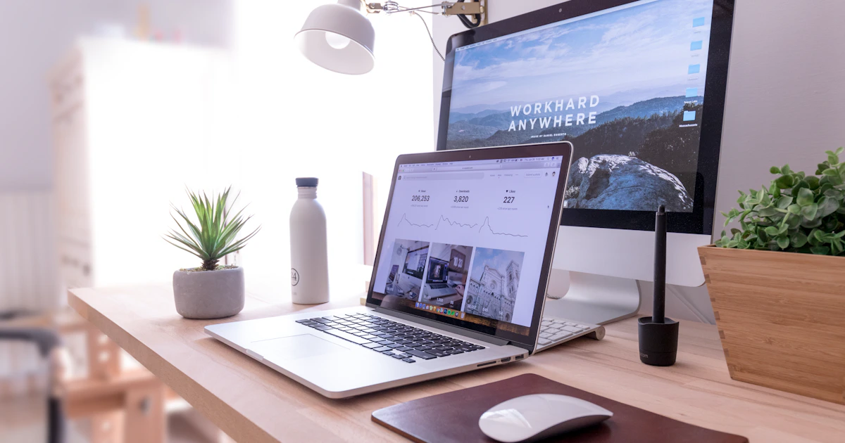 Brand identity materials laid out for review